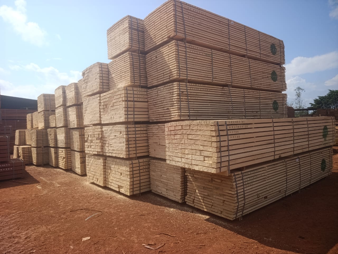 Home - African Hardwood Exporter
